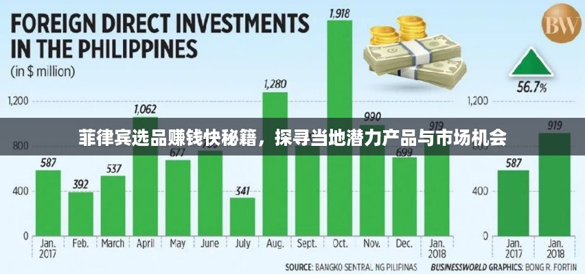 菲律宾选品赚钱快秘籍，探寻当地潜力产品与市场机会