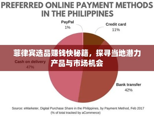 菲律宾选品赚钱快秘籍，探寻当地潜力产品与市场机会