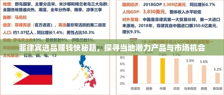 菲律宾选品赚钱快秘籍，探寻当地潜力产品与市场机会