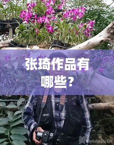 张琦作品有哪些？