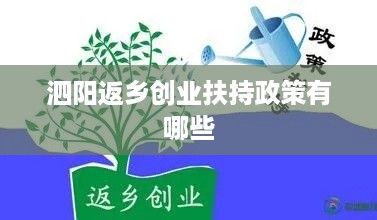 泗阳返乡创业扶持政策有哪些