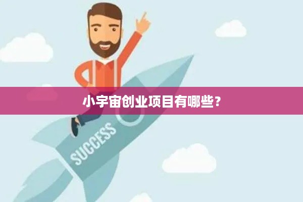 小宇宙创业项目有哪些？