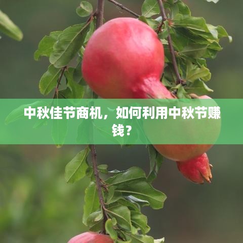 中秋佳节商机，如何利用中秋节赚钱？