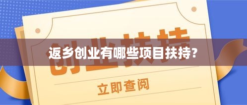 返乡创业有哪些项目扶持？