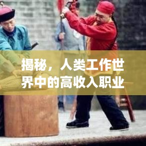 揭秘，人类工作世界中的高收入职业指南