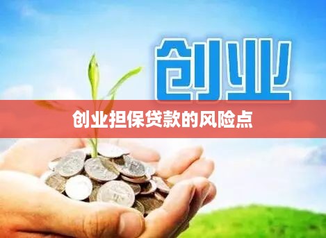 创业担保贷款的风险点