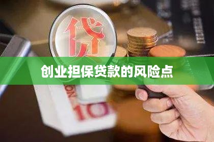 创业担保贷款的风险点