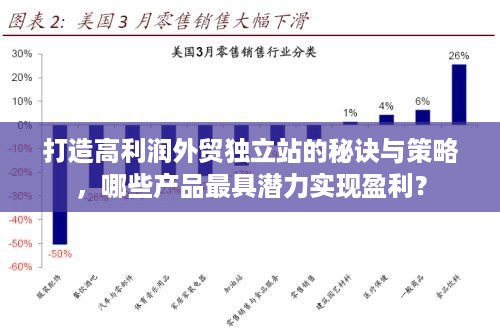 打造高利润外贸独立站的秘诀与策略，哪些产品最具潜力实现盈利？