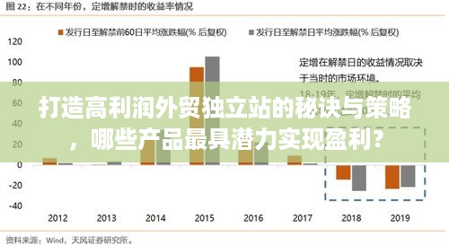 打造高利润外贸独立站的秘诀与策略，哪些产品最具潜力实现盈利？