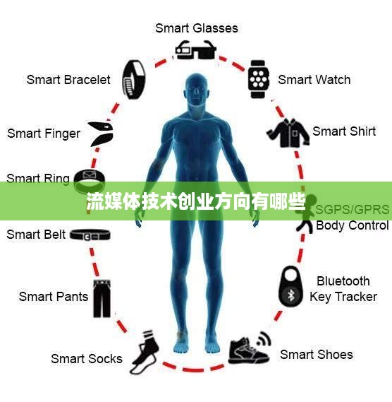 流媒体技术创业方向有哪些