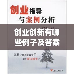 创业创新有哪些例子及答案