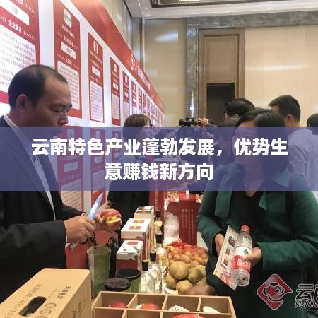 云南特色产业蓬勃发展，优势生意赚钱新方向