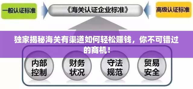 独家揭秘海关有渠道如何轻松赚钱，你不可错过的商机！