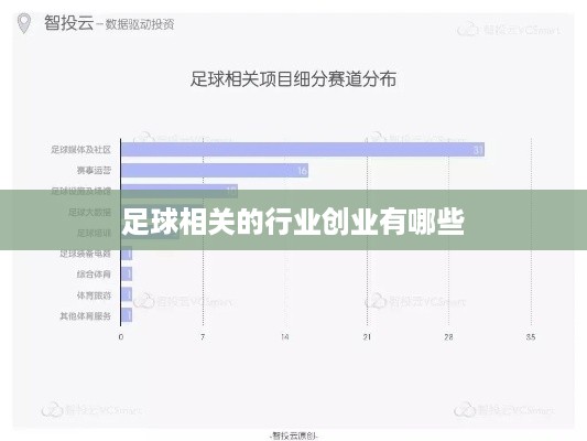 足球相关的行业创业有哪些