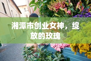 湘潭市创业女神，绽放的玫瑰