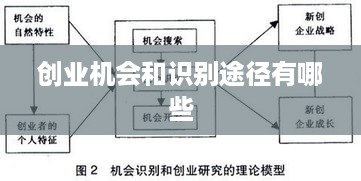 创业机会和识别途径有哪些