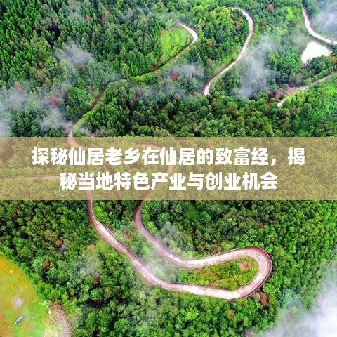 探秘仙居老乡在仙居的致富经，揭秘当地特色产业与创业机会