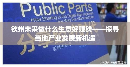 钦州未来做什么生意好赚钱——探寻当地产业发展新机遇