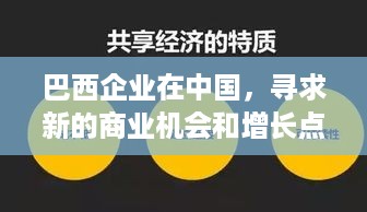 巴西企业在中国，寻求新的商业机会和增长点