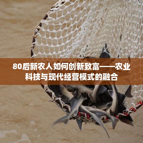 80后新农人如何创新致富——农业科技与现代经营模式的融合