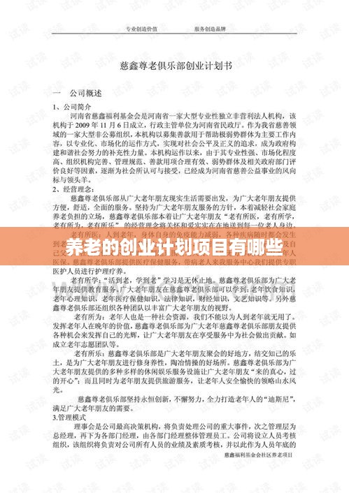 养老的创业计划项目有哪些