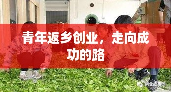 青年返乡创业，走向成功的路