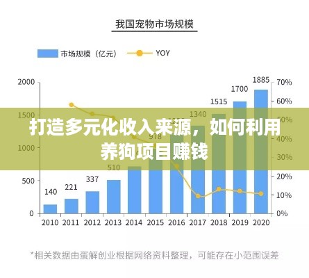 打造多元化收入来源，如何利用养狗项目赚钱