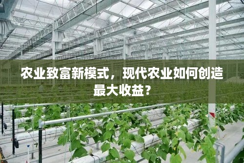 农业致富新模式，现代农业如何创造最大收益？