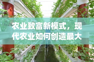 农业致富新模式，现代农业如何创造最大收益？