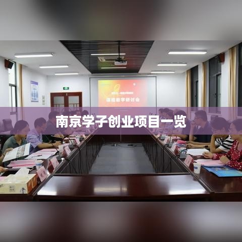 南京学子创业项目一览