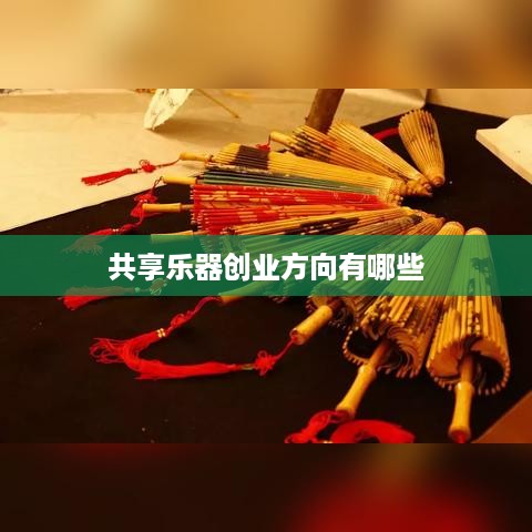 共享乐器创业方向有哪些