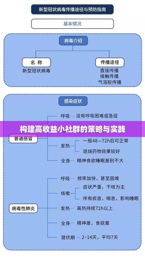 构建高收益小社群的策略与实践