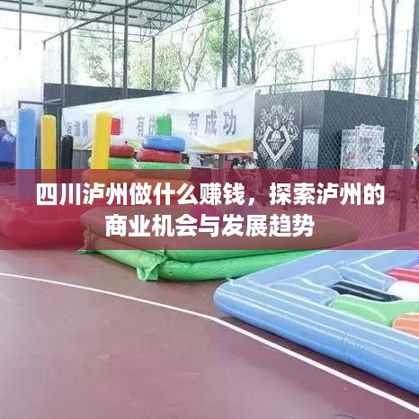 四川泸州做什么赚钱，探索泸州的商业机会与发展趋势