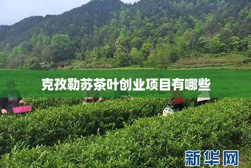 克孜勒苏茶叶创业项目有哪些