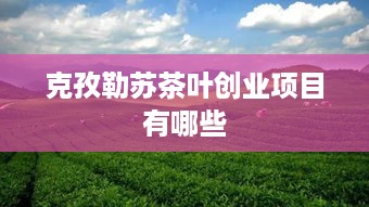 克孜勒苏茶叶创业项目有哪些