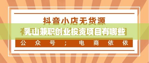 乳山兼职创业投资项目有哪些