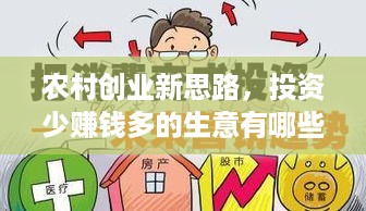 农村创业新思路，投资少赚钱多的生意有哪些？