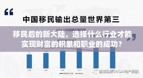  移民后的新大陆，选择什么行业才能实现财富的积累和职业的成功？