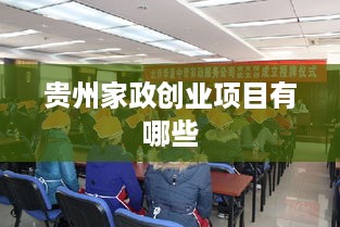 贵州家政创业项目有哪些