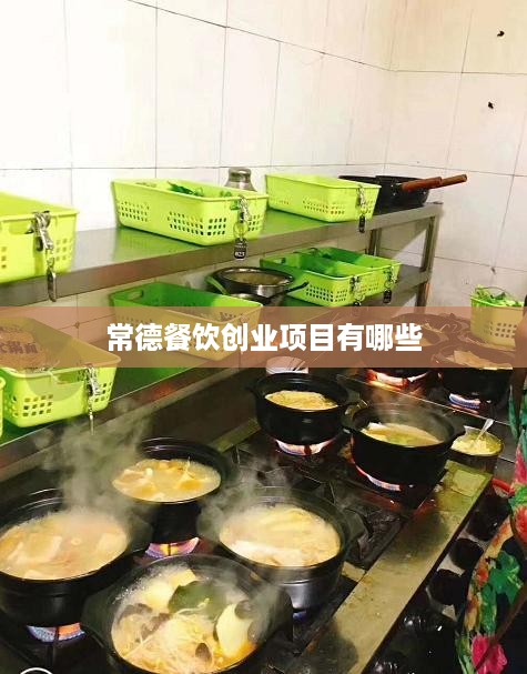 常德餐饮创业项目有哪些