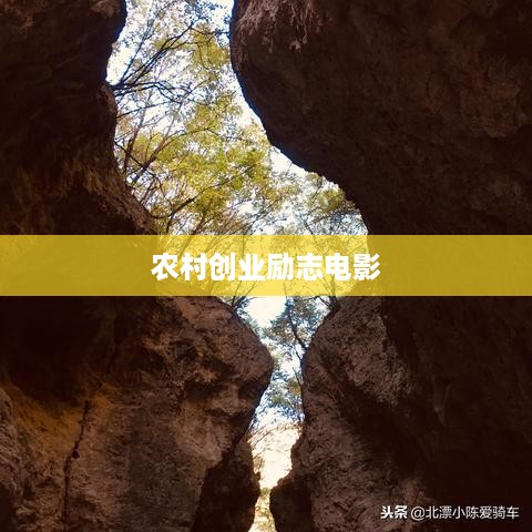 农村创业励志电影