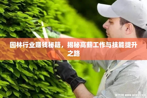 园林行业赚钱秘籍，揭秘高薪工作与技能提升之路