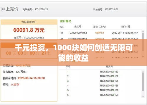 千元投资，1000块如何创造无限可能的收益