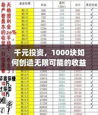 千元投资，1000块如何创造无限可能的收益