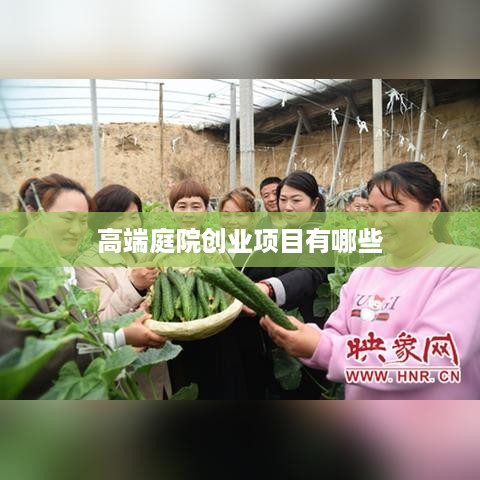 高端庭院创业项目有哪些