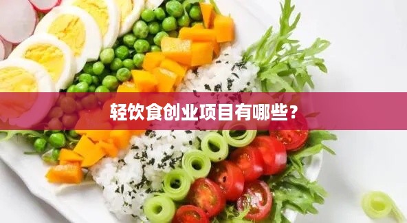 轻饮食创业项目有哪些？