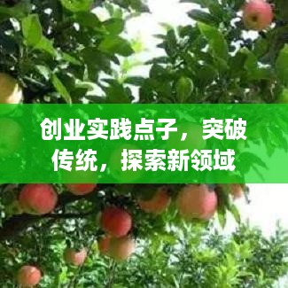 创业实践点子，突破传统，探索新领域