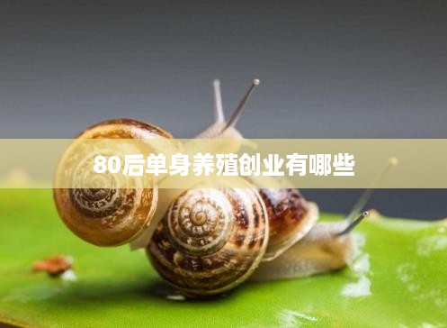 80后单身养殖创业有哪些