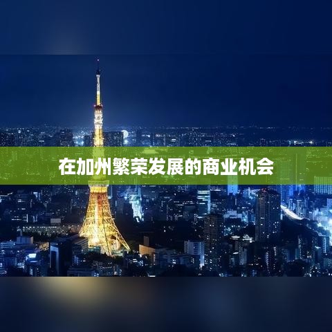 在加州繁荣发展的商业机会