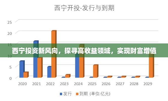 西宁投资新风向，探寻高收益领域，实现财富增值